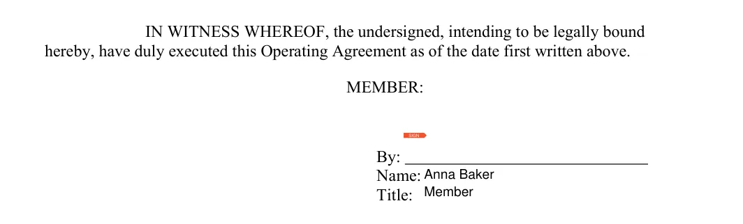 Signature block of the Texas operating agreement with the Member's name and title
