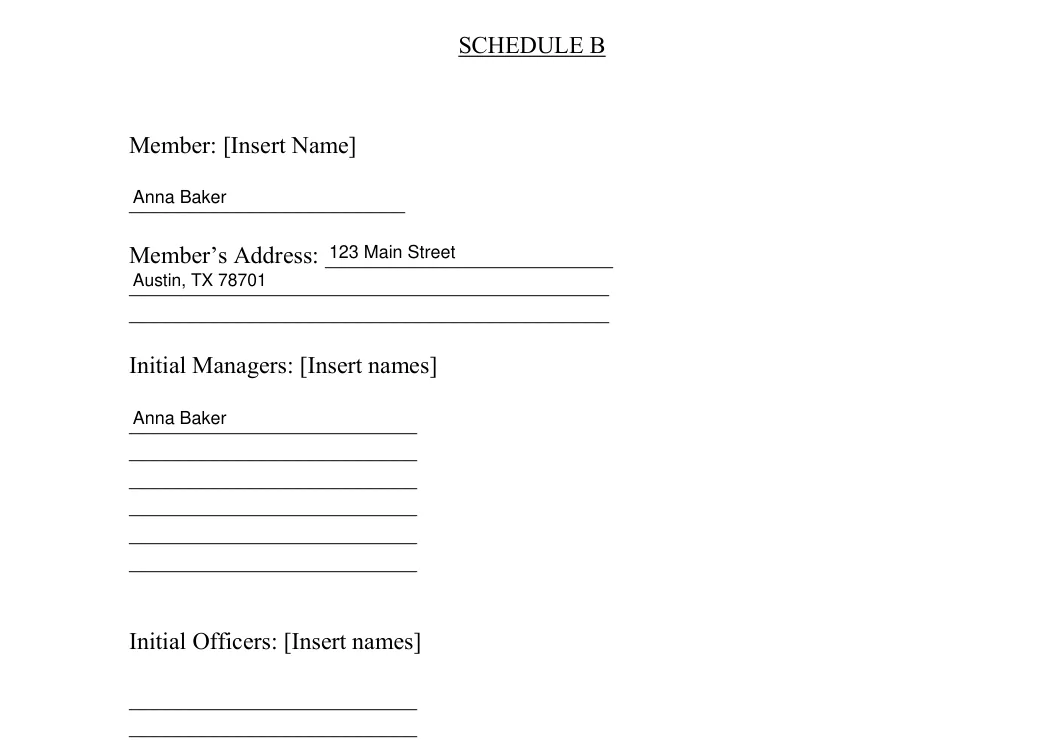 Schedule B of the Texas operating agreement with the Member's name, address and initial Manager entered