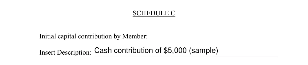 Schedule C of the Texas operating agreement with the initial capital contribution described