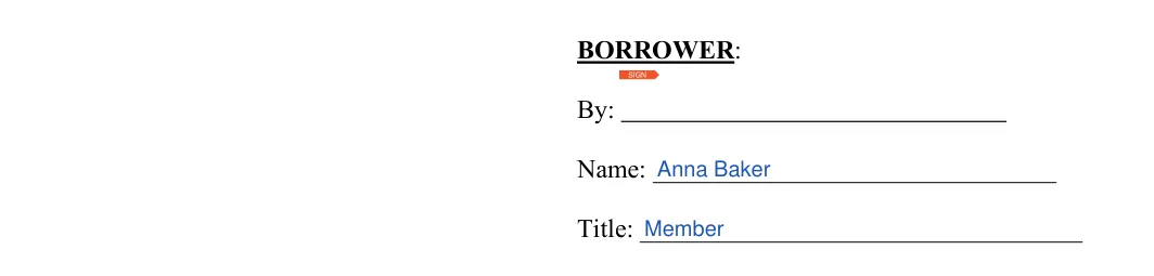 Louisiana promissory note: BORROWER, filled with sample entries
