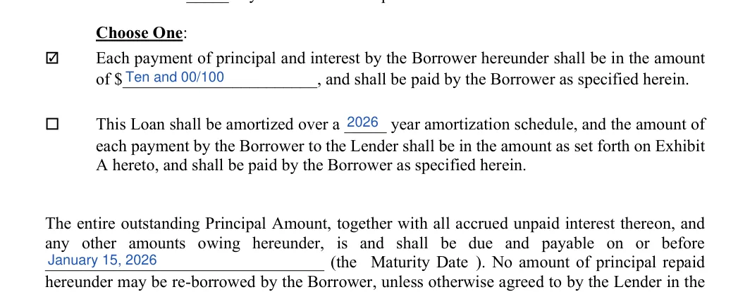 Michigan promissory note: Choose One, filled with sample entries