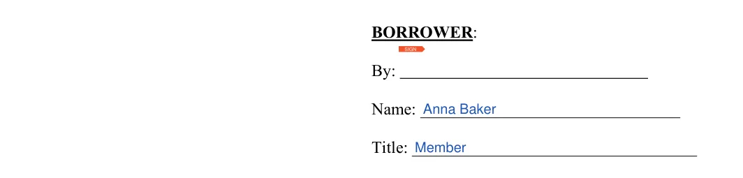 Michigan promissory note: BORROWER, filled with sample entries