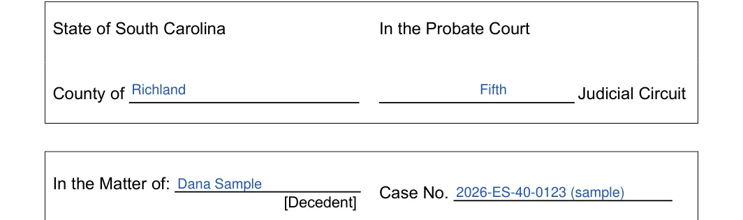 South Carolina small estate affidavit, Form SCCA 420ES: court caption, filled with sample entries