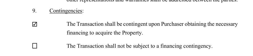 Letter of Intent (LOI): Contingencies, filled with sample entries