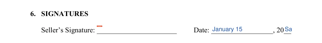 Business Bill of Sale: SIGNATURES, filled with sample entries