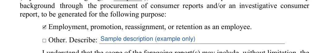 Credit Check Authorization: report, to be generated for the following purpose, filled with sample entries