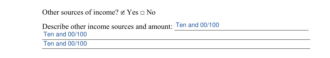 Tenant Background Check: Yes, Describe other income sources and amount, filled with sample entries