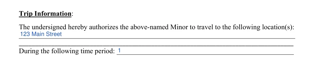 Child Travel Consent: Trip Information, filled with sample entries