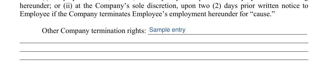 Employment Contract: Termination rights, filled with sample entries