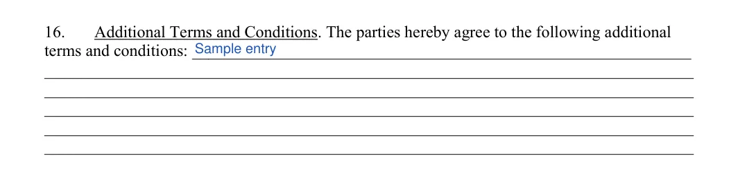 Consulting Contract: Additional terms and conditions, filled with sample entries