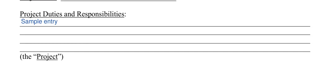 Engagement Letter: Project Duties and Responsibilities, filled with sample entries