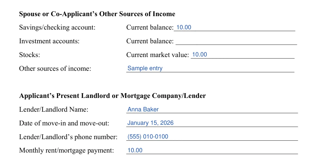 Rental Application: Current balance, Current market value 1 and more, filled with sample entries