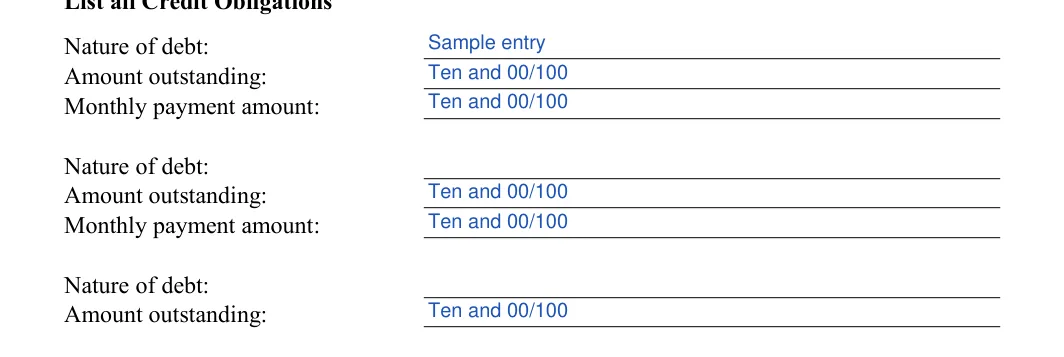 Rental Application: Nature of debt, filled with sample entries