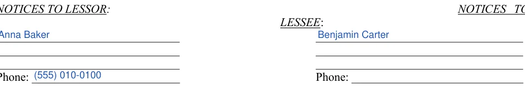Commercial Lease Agreement: LESSEE, filled with sample entries
