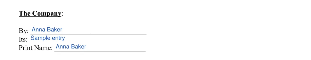 Photo Booth Contract: The Company, filled with sample entries
