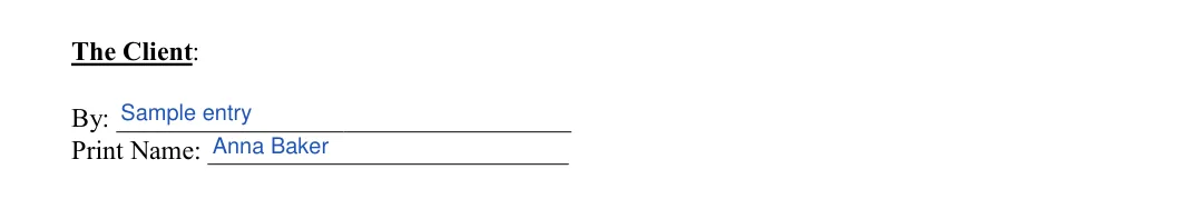 Photo Booth Contract: The Client, filled with sample entries