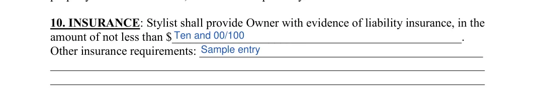 Salon Booth Rental Agreement: Sum, Other insurance requirements, filled with sample entries