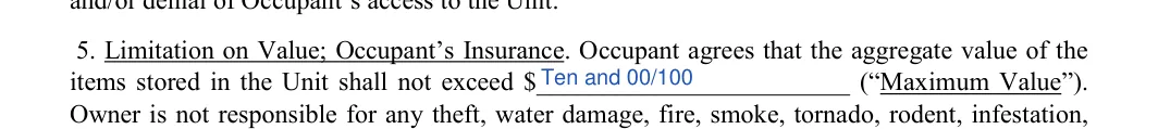 Storage Rental Agreement: Sum, filled with sample entries