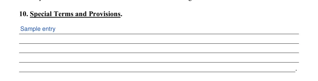 Room Rental Agreement: 10. Special Terms and Provisions, filled with sample entries