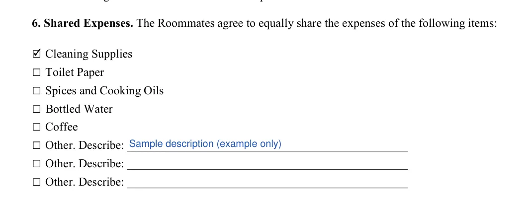 Roommate Agreement: Initial, Description, filled with sample entries