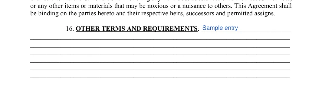 Weekly Rental Agreement: Other terms and requirements, filled with sample entries