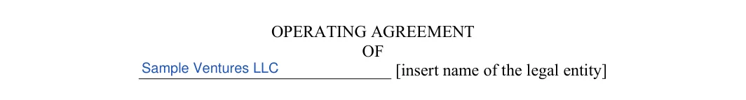 Single-Member LLC Operating Agreement: OPERATING AGREEMENT, filled with sample entries