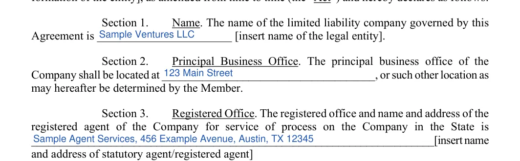 Single-Member LLC Operating Agreement: Section 1, filled with sample entries