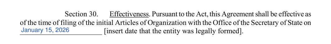 Single-Member LLC Operating Agreement: Section 30, filled with sample entries