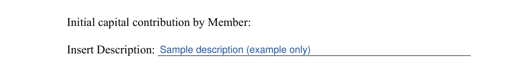 Single-Member LLC Operating Agreement: Initial capital contribution by Member, filled with sample entries