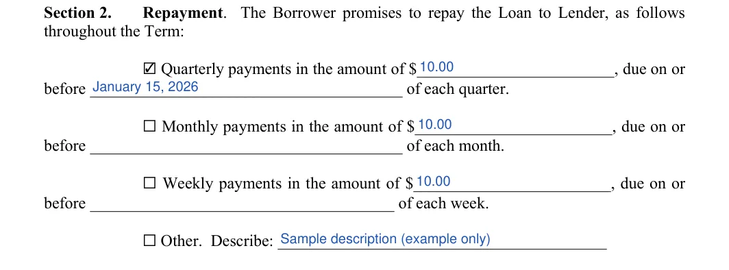Family (Friends) Personal Loan Agreement: throughout the Term, filled with sample entries