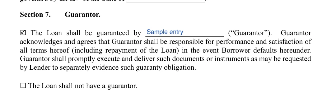 Family (Friends) Personal Loan Agreement: Section 7, filled with sample entries