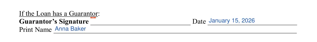 Family (Friends) Personal Loan Agreement: If the Loan has a Guarantor, filled with sample entries