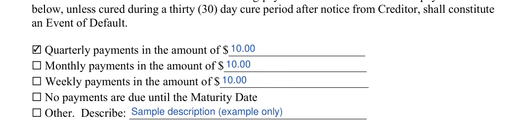 IOU (I Owe You): Quarterly payments, Check and more, filled with sample entries