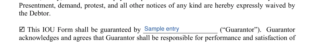 IOU (I Owe You): Guarantor, Check, filled with sample entries