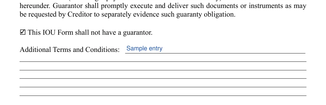 IOU (I Owe You): Check, Additional terms and conditions, filled with sample entries