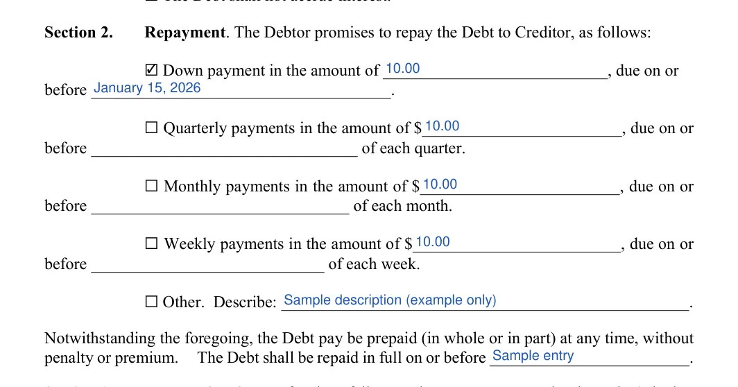 Payment (Installment) Agreement: Section 2, filled with sample entries