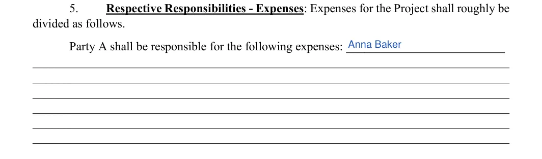 Memorandum of Understanding: Expenses of party a, filled with sample entries