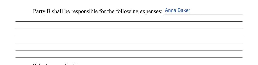 Memorandum of Understanding: Expenses of party b, filled with sample entries