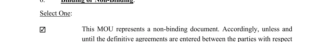 Memorandum of Understanding: Select One, filled with sample entries