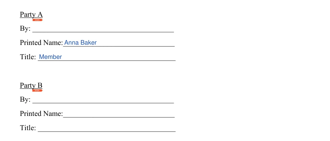 Memorandum of Understanding: By, Printed name and more, filled with sample entries