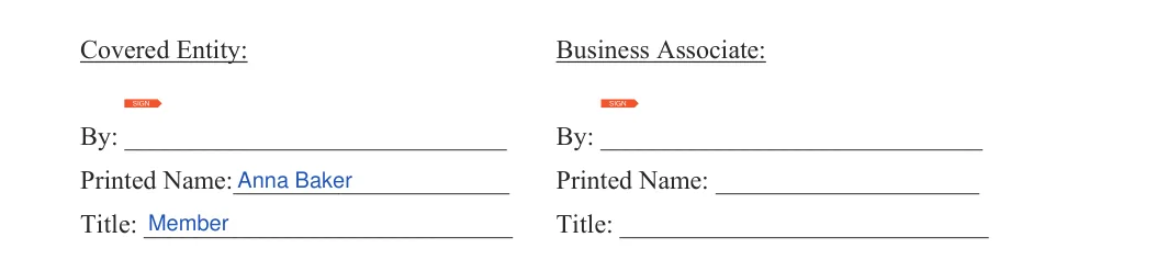 Business Associate Agreement HIPAA: Business Associate, filled with sample entries