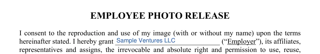 Employee Photo Release: EMPLOYEE PHOTO RELEASE, filled with sample entries
