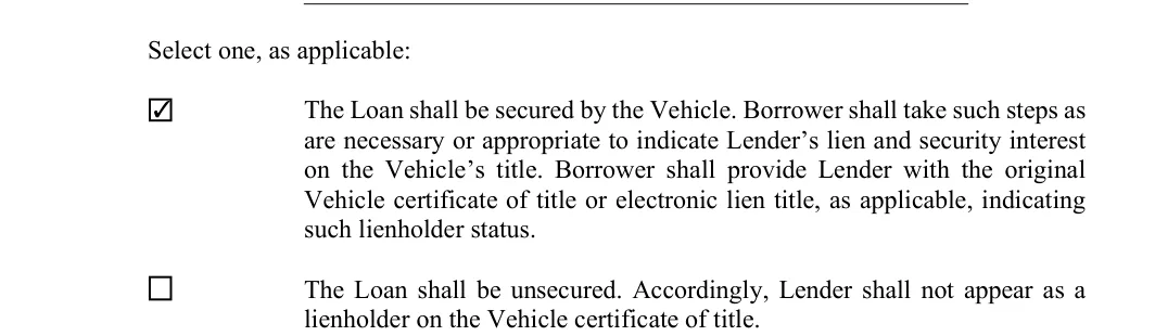 Vehicle Promissory Note: Select one, as applicable, filled with sample entries