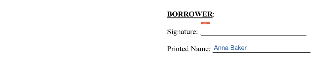 Vehicle Promissory Note: BORROWER, filled with sample entries