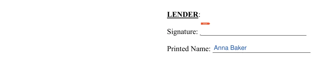 Vehicle Promissory Note: LENDER, filled with sample entries