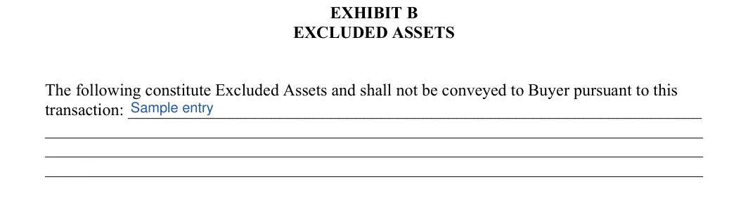 Asset Purchase and Sale Agreement: EXCLUDED ASSETS, filled with sample entries
