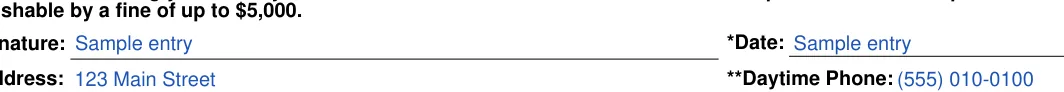 Social Security Administration Consent for Release of Information: *Signature, filled with sample entries
