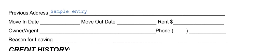 Florida Florida Rental Application: Text, filled with sample entries