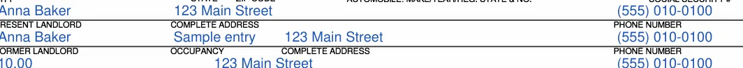 Massachusetts Massachusetts Rental Application: COMPLETE ADDRESS, filled with sample entries