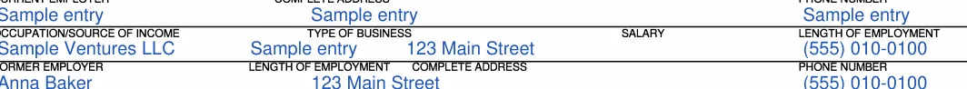 Massachusetts Massachusetts Rental Application: ТУРЕ OF BUSINESS, filled with sample entries